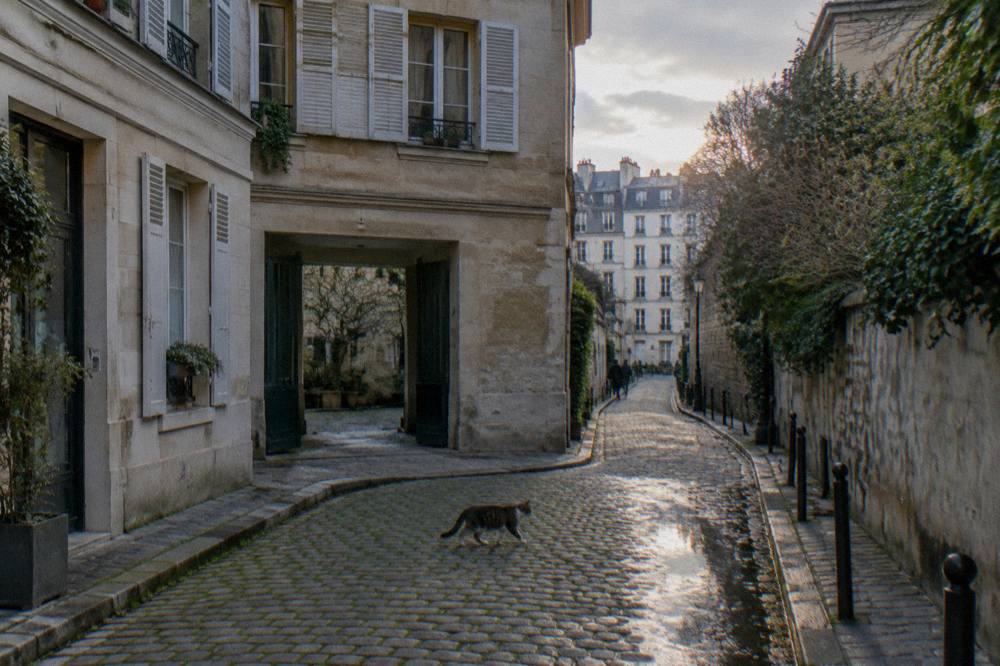 A narrow Paris street with stone apartment facades and shuttered windows above a courtyard entrance
