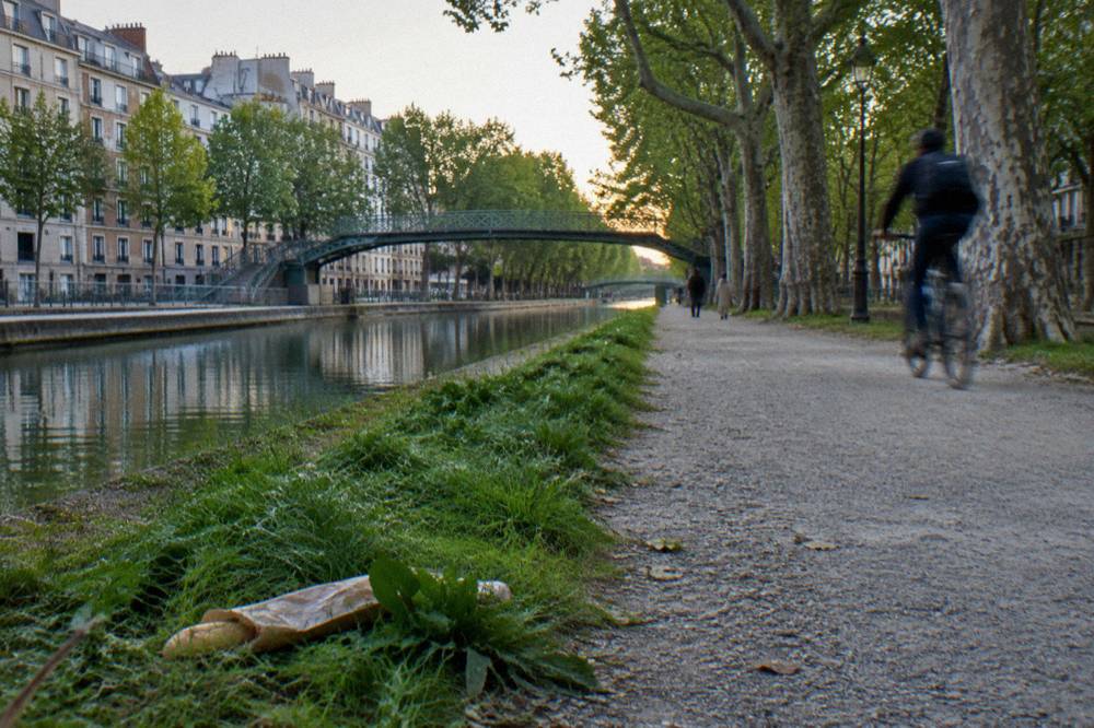 Tree-lined canal-side promenade in northeast Paris with lawns and a wide walking path