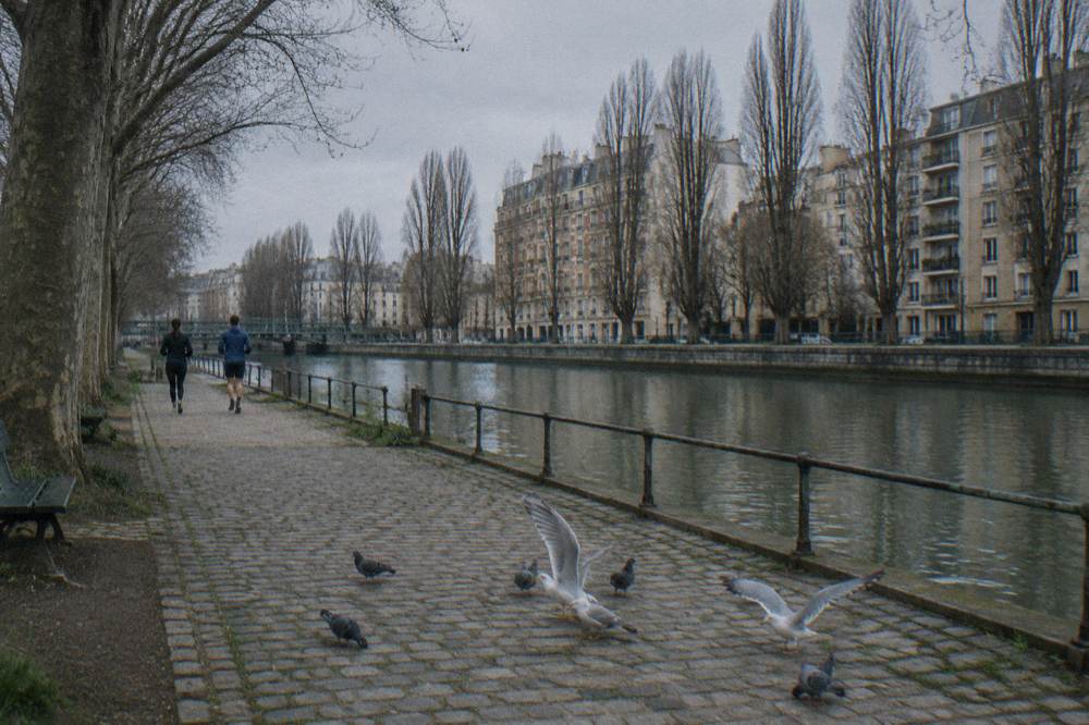 A tree-lined canal-side path in northeast Paris with apartment blocks behind