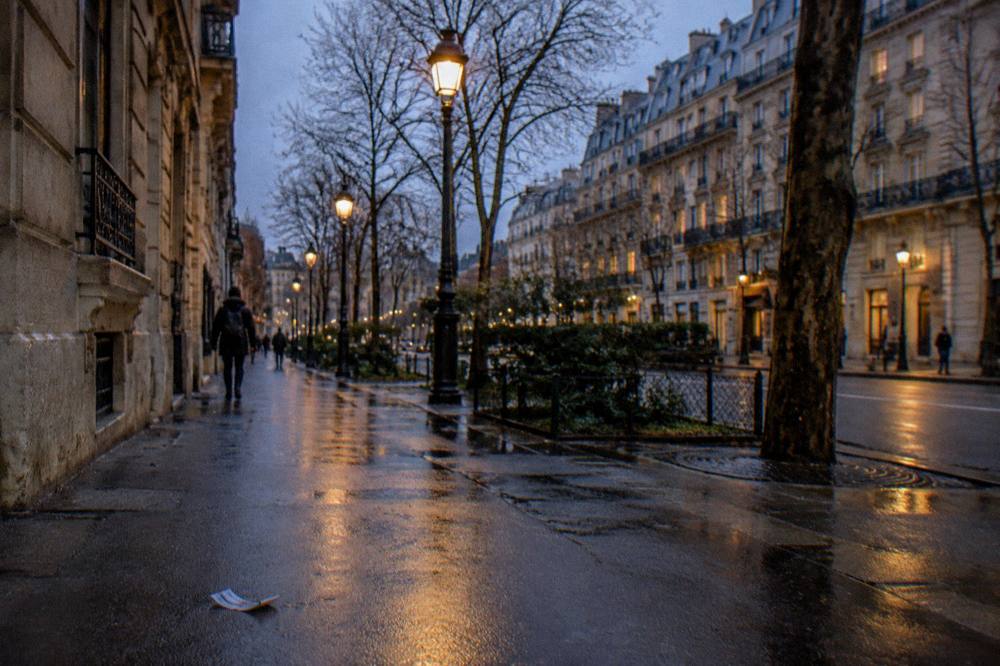 A wide Paris boulevard at dusk with lit street lamps and apartment windows