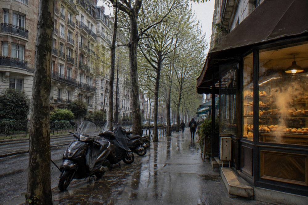 A residential boulevard with apartment buildings south of central Paris
