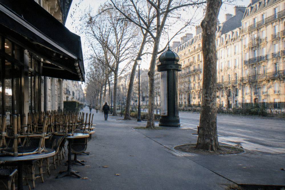 A winter morning on a Paris boulevard with bare trees and a café terrace closed for the season