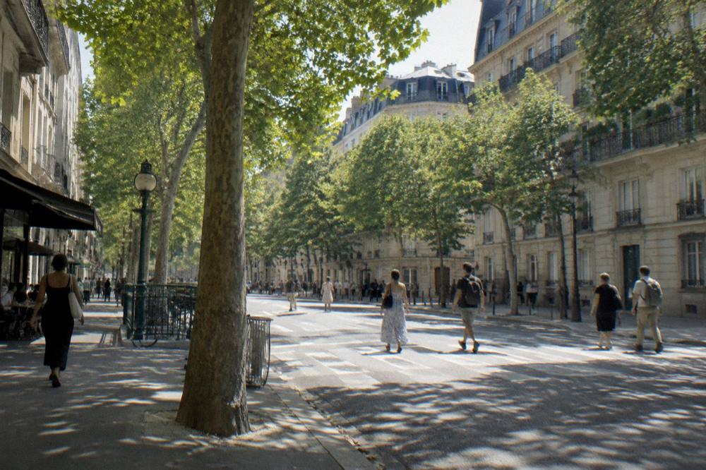 A busy Paris street in summer with full plane trees and pedestrians crossing