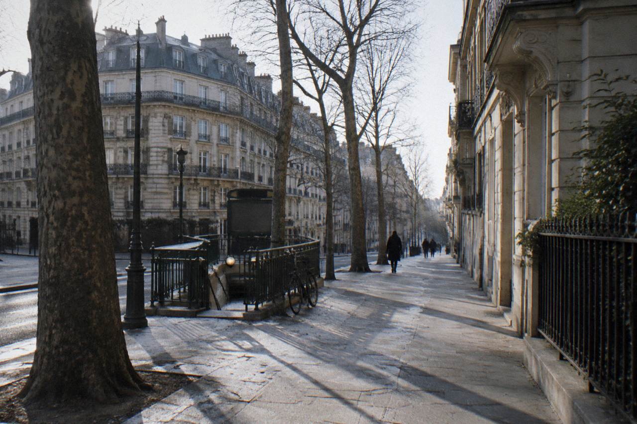A quiet Paris street with traditional apartment buildings and bare plane trees in winter light